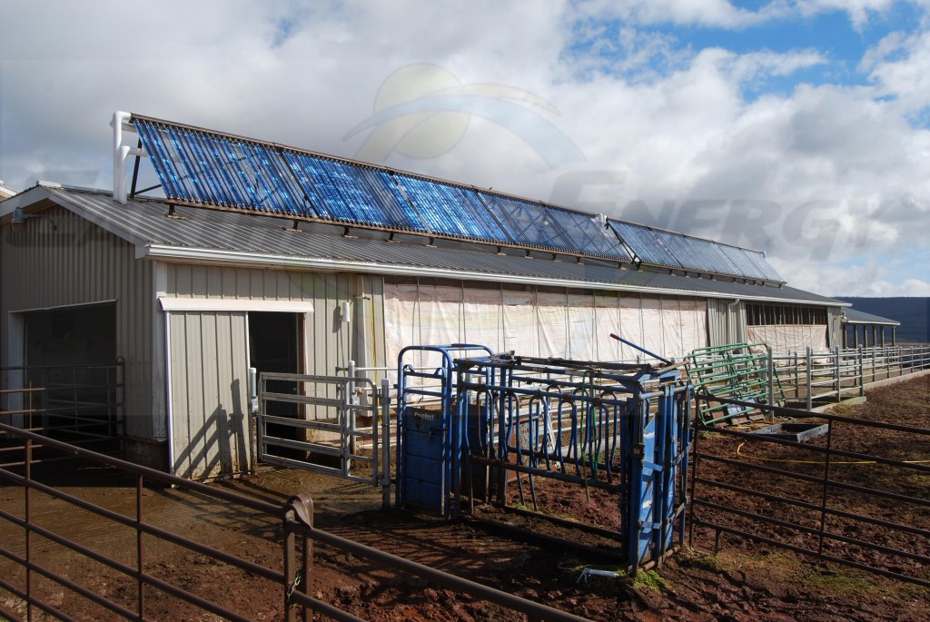 EarthNet Energy 10 Collector Agricultural Solar Hot Water System