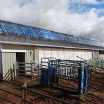 EarthNet Energy 10 Collector Agricultural Solar Hot Water System