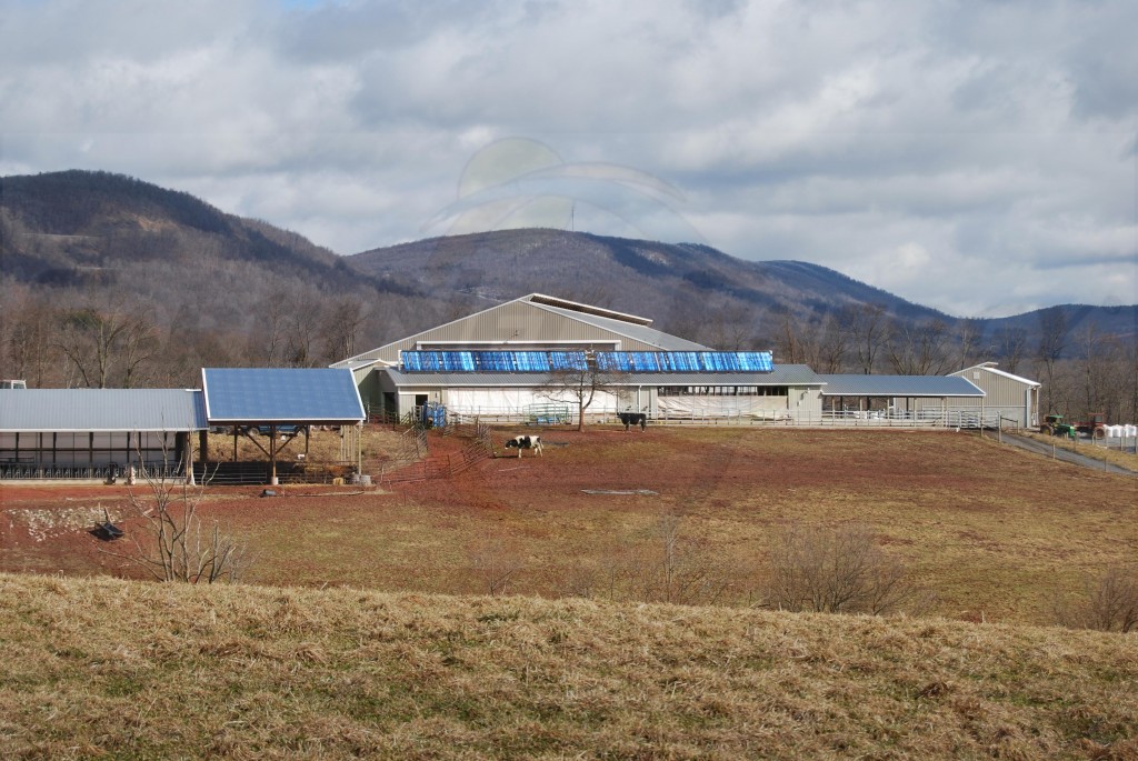 EarthNet Energy 10 Collector Agricultural Solar Hot Water System