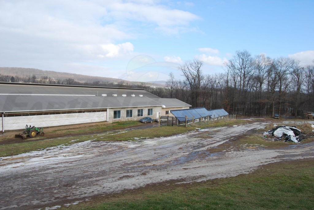 EarthNet Energy 10 Collector Agricultural Solar Hot Water System